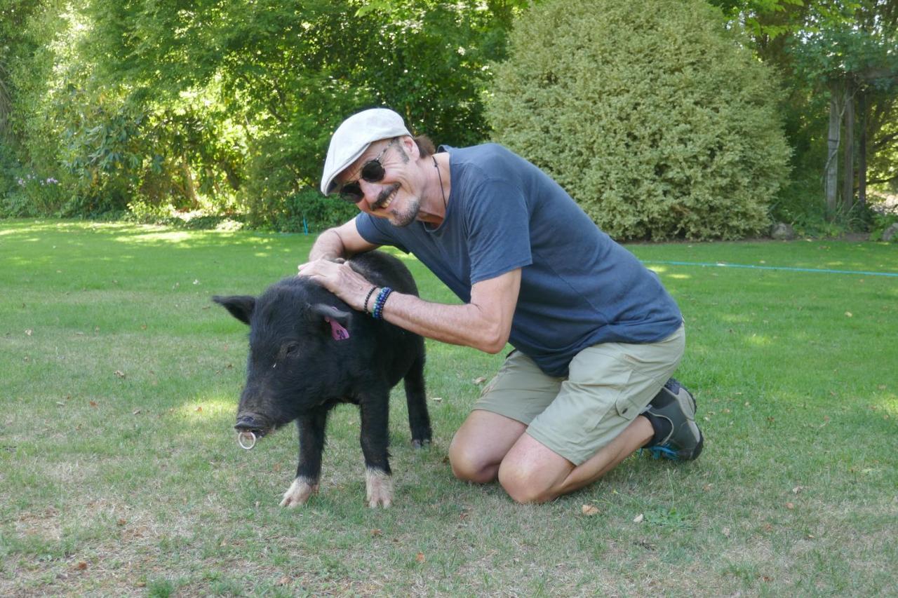 Karetu Downs Farm Stay Hawarden Екстериор снимка