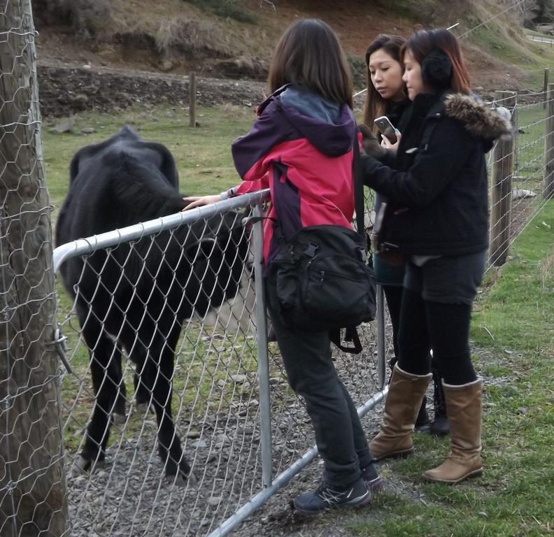 Karetu Downs Farm Stay Hawarden Екстериор снимка