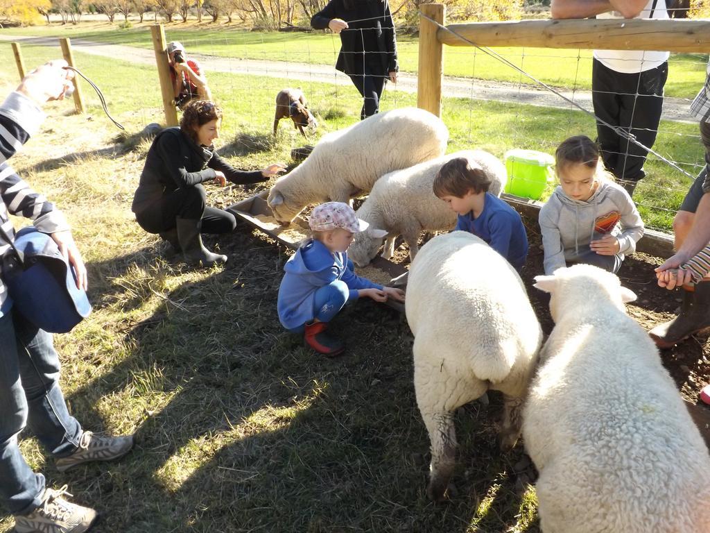 Karetu Downs Farm Stay Hawarden Екстериор снимка
