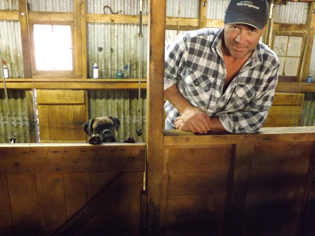 Karetu Downs Farm Stay Hawarden Екстериор снимка