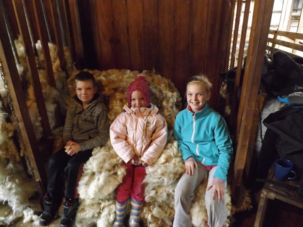 Karetu Downs Farm Stay Hawarden Екстериор снимка