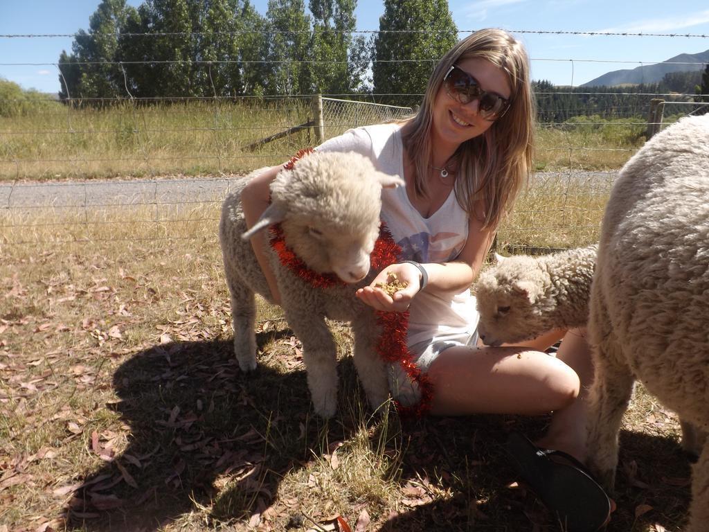 Karetu Downs Farm Stay Hawarden Екстериор снимка