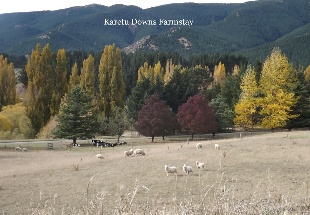 Karetu Downs Farm Stay Hawarden Екстериор снимка