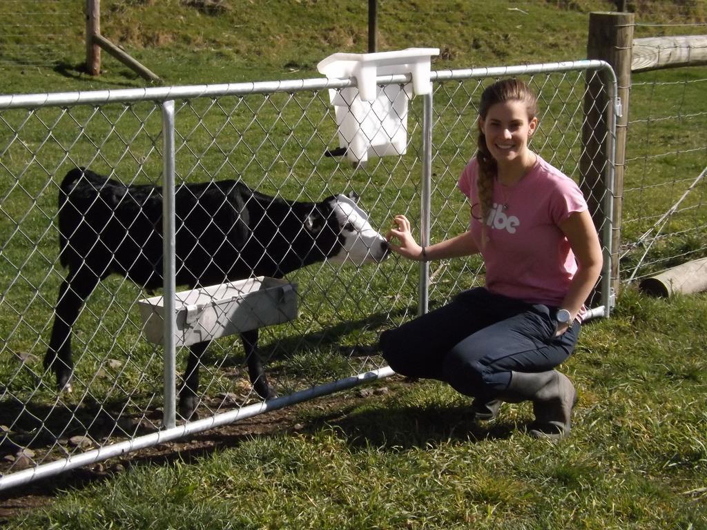Karetu Downs Farm Stay Hawarden Екстериор снимка