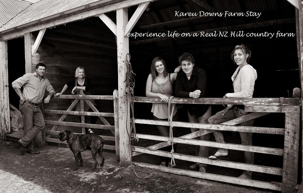 Karetu Downs Farm Stay Hawarden Екстериор снимка