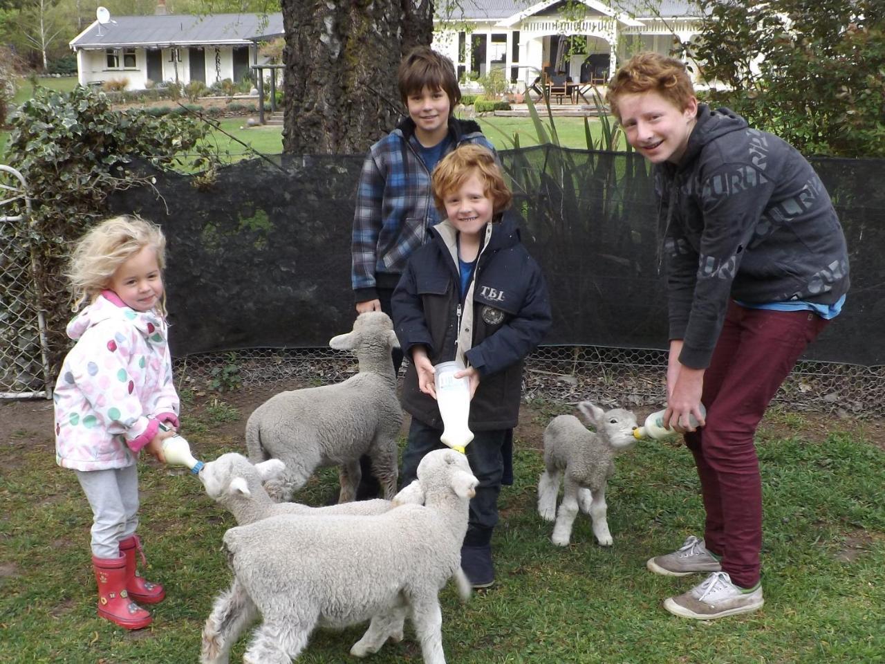 Karetu Downs Farm Stay Hawarden Екстериор снимка