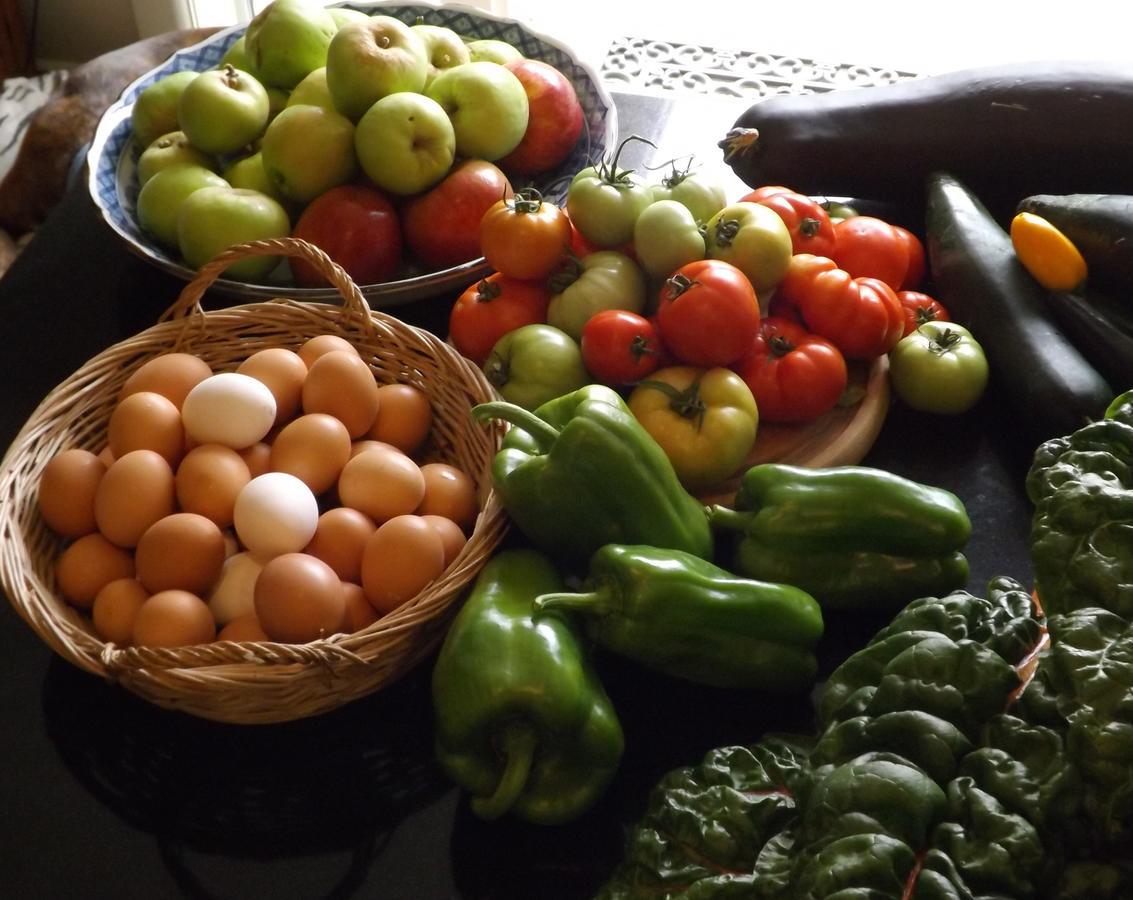 Karetu Downs Farm Stay Hawarden Екстериор снимка